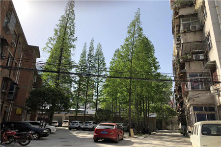 城山水人家三室两厅一卫简装出售家具家电齐全